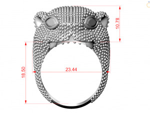 Ring Model do druku 3D