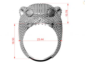 Ring 3D Print Model