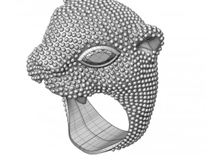 Ring 3D Print Model