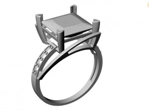 Ring 3D Model