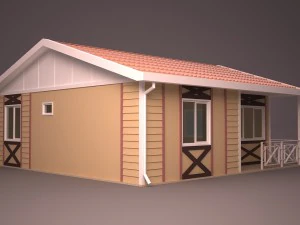 дом 21 3D Модель