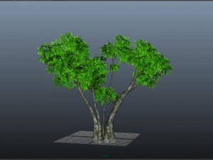 mgtree 3D Model