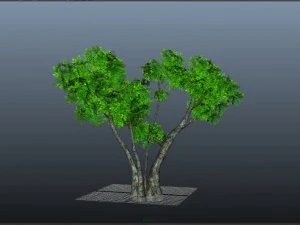 mgtree 3D Model