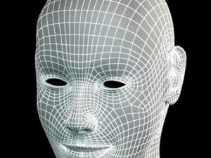pretty female head 3D मॉडल