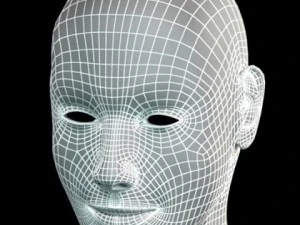 pretty female head 3D Model