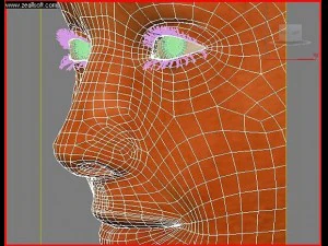 pretty female head 3D Model