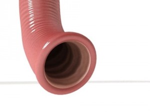 realistic stomach with cutaway 3Dモデル