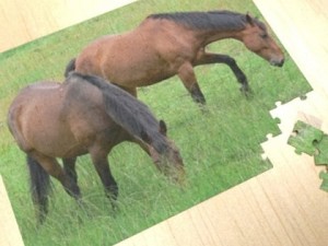 jigsaw puzzle 108 pieces 3D-Modell