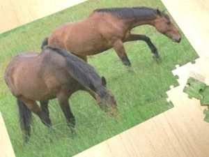 jigsaw puzzle 108 pieces 3D Model