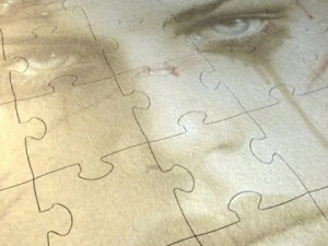 jigsaw puzzle 108 pieces 3D Model