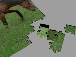 jigsaw puzzle 108 pieces 3D Model