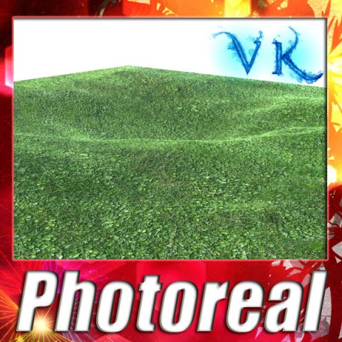 grass high res seamless tileable Modelo 3D .c4d .max .obj .3ds .fbx .stl .blend 