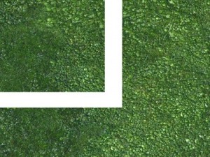grass high res seamless tileable Modelo 3D