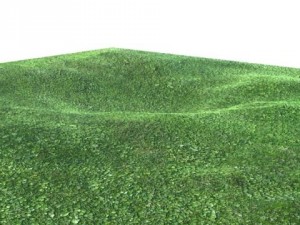 grass high res seamless tileable Modelo 3D