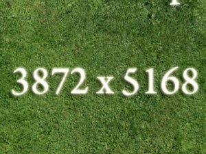 grass high res seamless tileable Modelo 3D