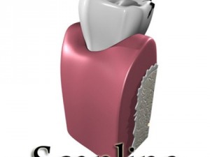 decayed tooth 3Dモデル
