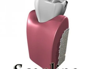 decayed tooth 3D Model