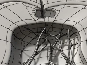cracked tooth high detail 3D Model