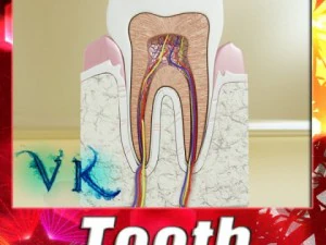 detail setinggi gigi Model 3D