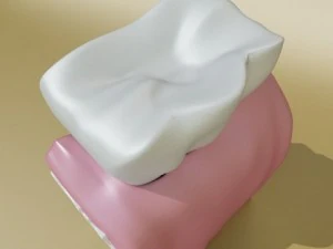 tooth high detail 3D Model