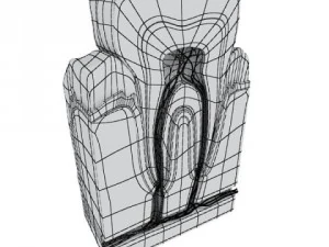 tooth high detail 3D Model