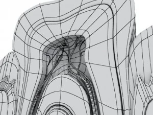 tooth high detail 3D Model