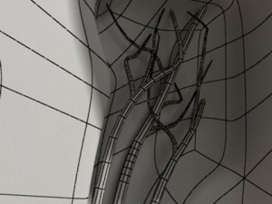 tooth dental plaque high detail 3D 모델