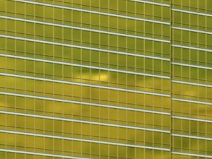 trump international hotel  high detailed Modelo 3D