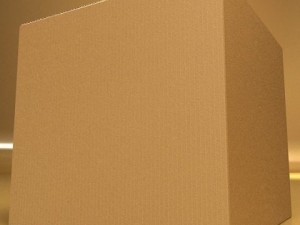 photoreal cardboard carton high res 3D 模型