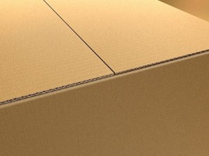 photoreal cardboard carton high res 3D 模型