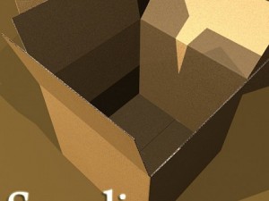 photoreal cardboard carton high res 3D 模型