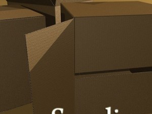 photoreal cardboard carton high res 3D 模型