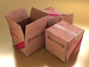 photoreal cardboard carton high res 3D Model