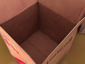 photoreal cardboard carton high res 3D Model