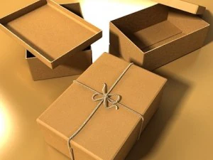 photorealistic cardboard box  rope high res 3D Model