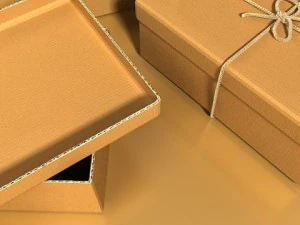 photorealistic cardboard box  rope high res 3D Model