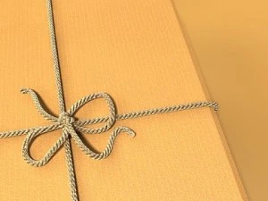 photorealistic cardboard box  rope high res 3D Model