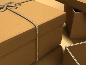 photorealistic cardboard box  rope high res 3D Model