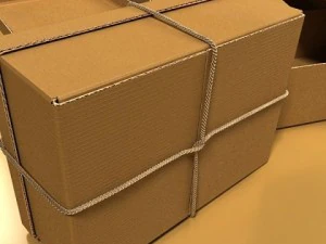 photorealistic cardboard box  rope high res 3D Model