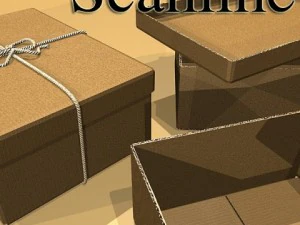 photorealistic cardboard box  rope high res 3D Model