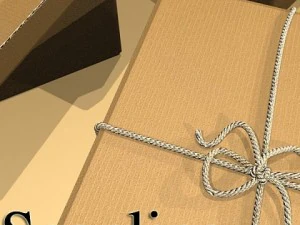 photorealistic cardboard box  rope high res 3D Model