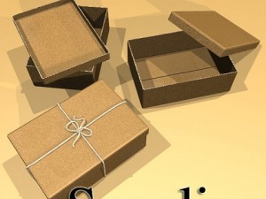 photorealistic cardboard box  rope high res 3D 모델