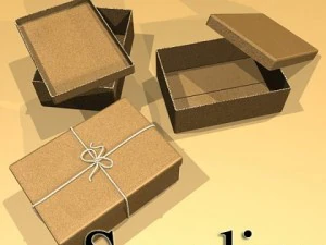 photorealistic cardboard box  rope high res 3D Model