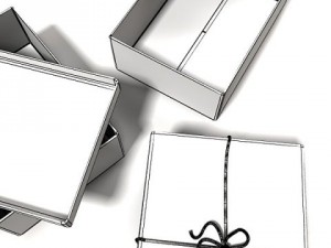 photorealistic cardboard box  rope high res 3D 모델