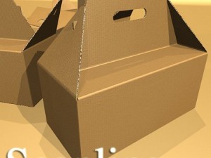 photorealistic cardboard carrier box high res Modelo 3D