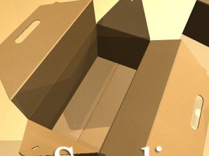 photorealistic cardboard carrier box high res Modelo 3D