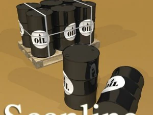 lift truck pallet cartons  metal drums 3D Model