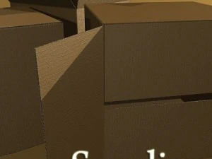 lift truck pallet cartons  metal drums 3D Model