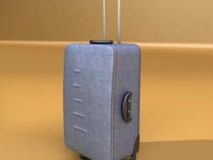 suitcase collection high detail 3Dモデル