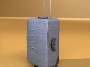suitcase collection high detail 3D Model